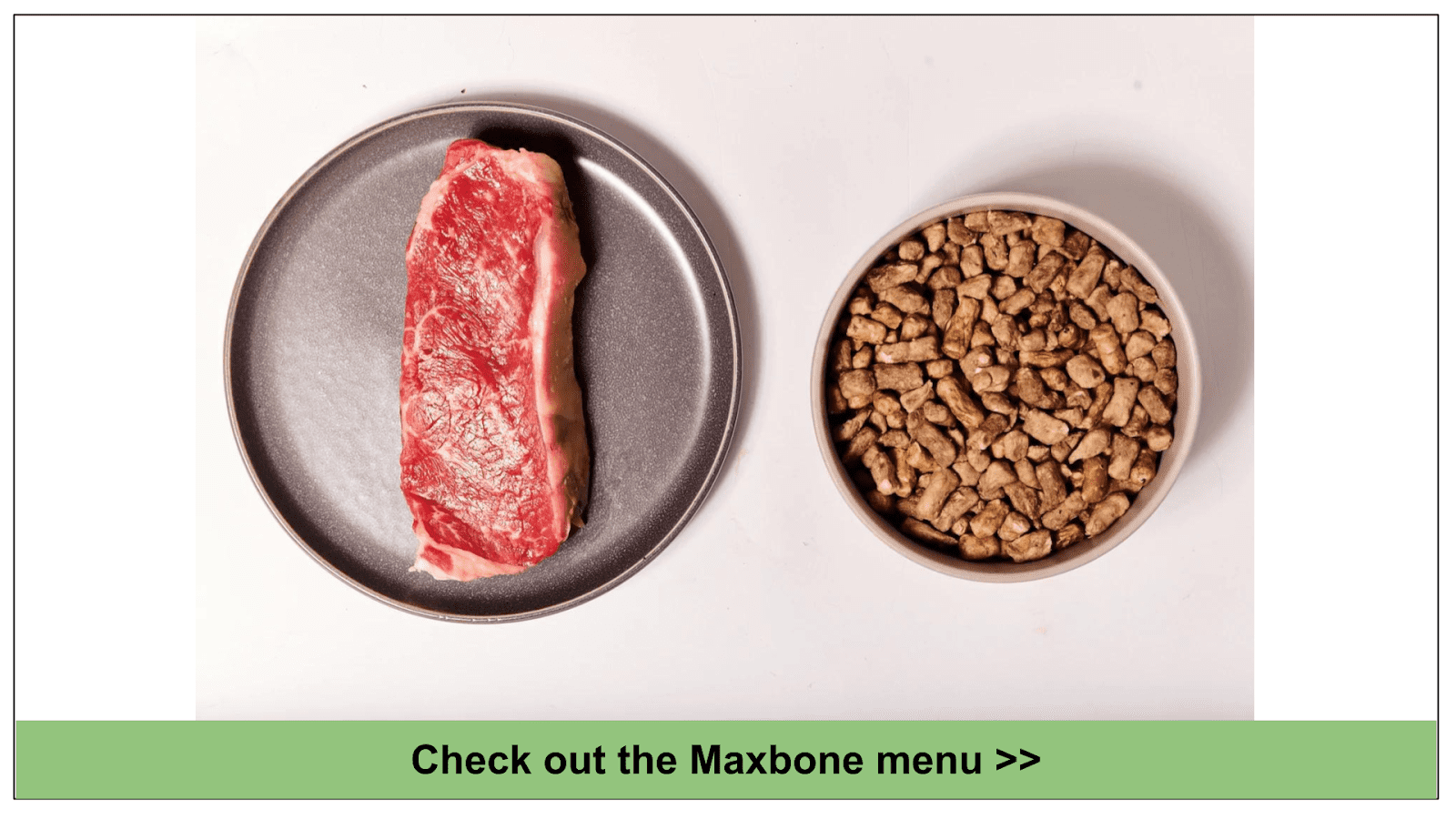 Best Raw Dog Food Delivery 2022 Which Will Your Dog Love 