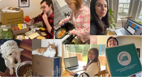A collage of individuals engaging in activities at home, including cooking, working on laptops, and receiving meal boxes. A dog and a cat are also pictured. Text on boxes: "Marley Spoon" and "Meal Clean."