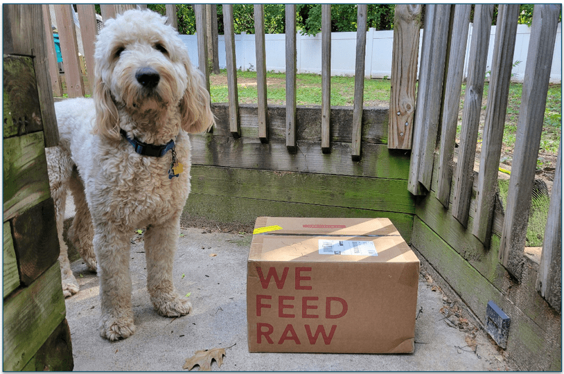 The delivery took 6 days to arrive after ordering