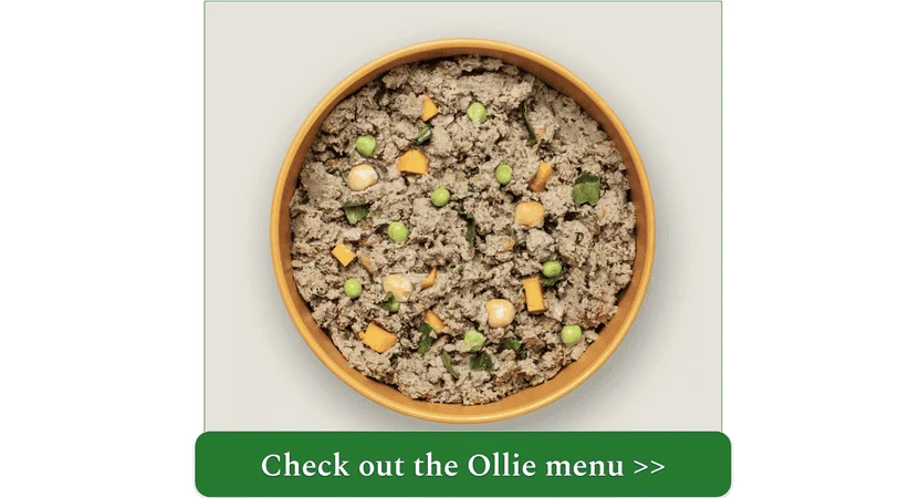 Ollie's Fresh Beef recipe