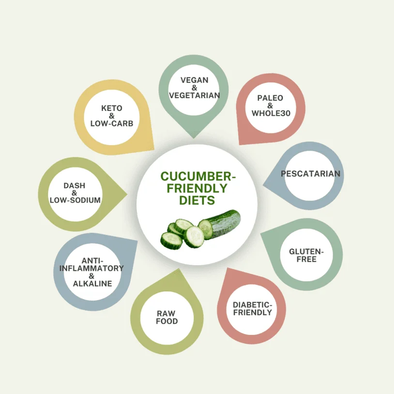 Infographic presenting all the diets that are cucumber-friendly