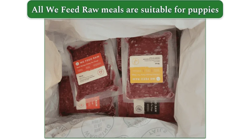 An open delivery box from We Feed Raw to show the food in individual packages