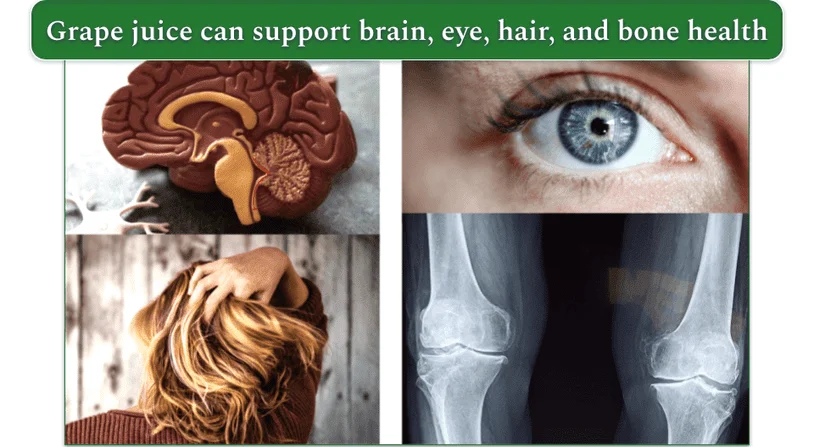 A model brain, a human eye, a woman holding her hair, and an x-ray of bones