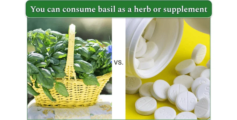 Left - image of basil as a herb. right - image of basil as a supplement in pill format