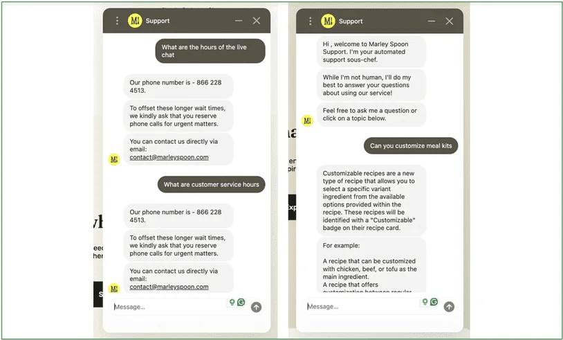 The chatbot was hit and miss