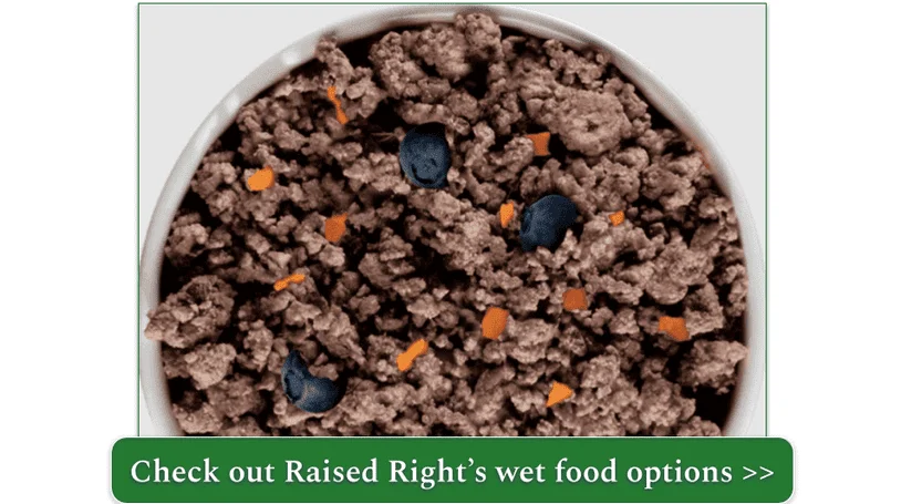 Raised Right's adult dog turkey recipe in a bowl