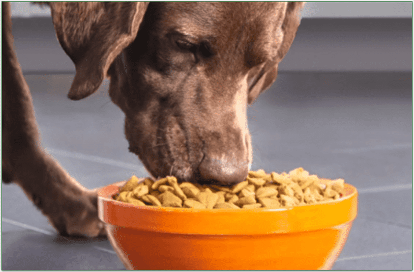 Purina Pro Plan Adult Shredded Blend Salmon & Rice Formula