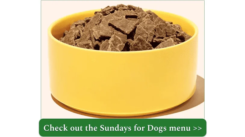  Image of Sundays for Dogs beef recipe