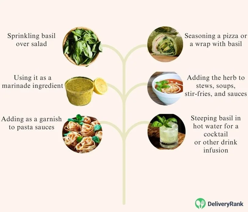 infographic showing 6 different ways to use basil