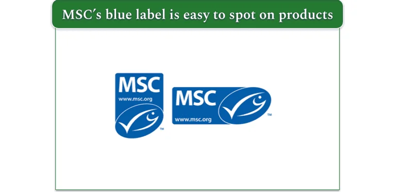 MSC's blue label
