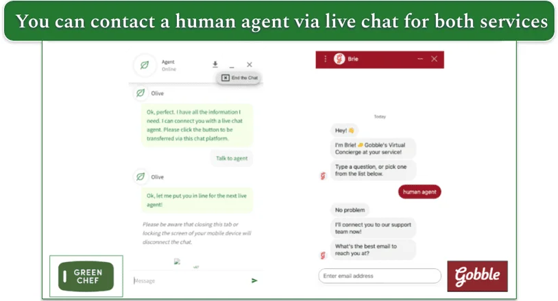 Screenshot of Green Chef's and Gobble's live chat
