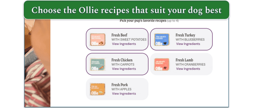 Selection of Ollie's fresh recipes with 3 selected