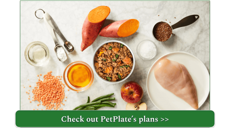 a fresh petplate meal surrounded by ingredients