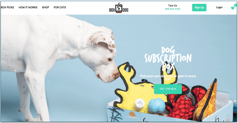 BoxDog homepage