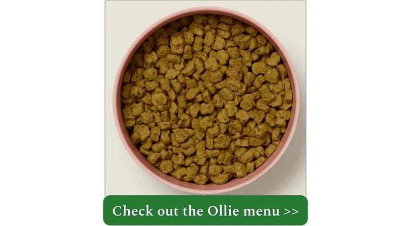 Image of Ollie's Beef baked recipe