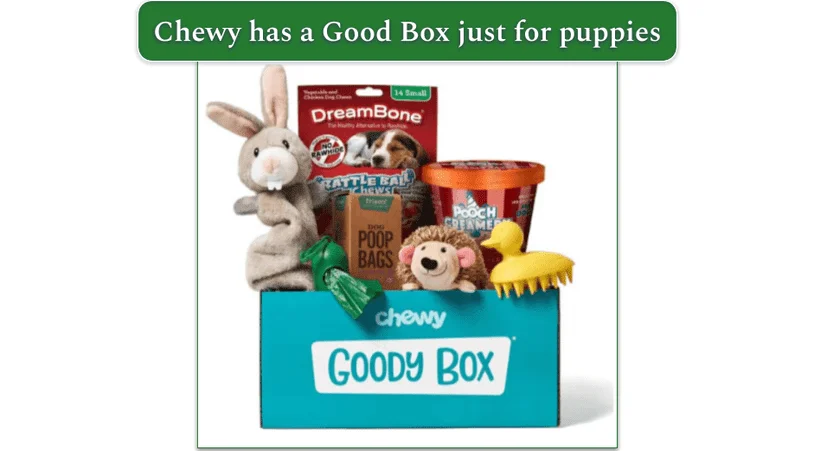 Image of Chewys Good Box for puppies showing toys and treats spilling from the box