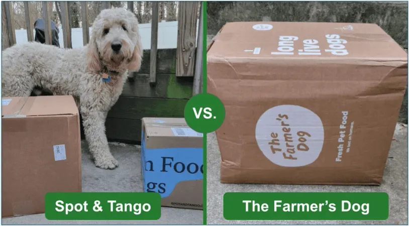 An image showing the differences between Spot & Tango's and The Farmer's Dog delivery boxes.