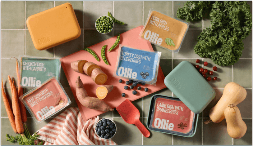 flat lay of Ollie fresh meals surrounded by fresh food