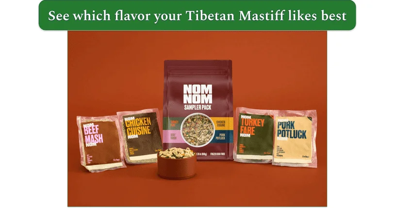 Nom Nom Sampler pack