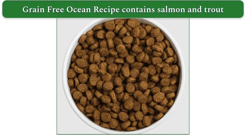 Redbarn's Grain-Free Ocean Recipe