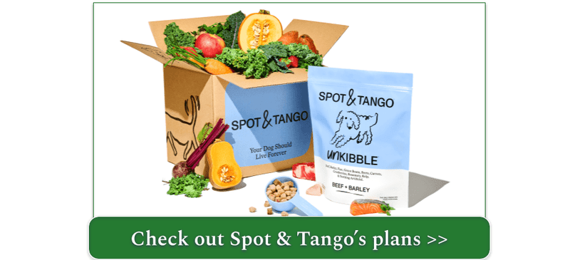 Spot & Tango's Turkey & Red Quinoa fresh food recipe