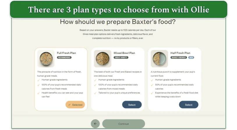 Screenshot of the 3 available plans from Ollie