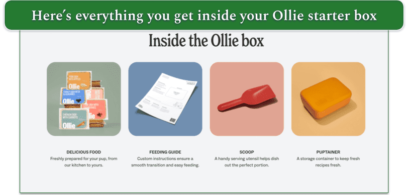 Ollie's starter box contents