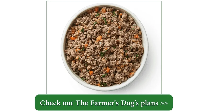 A bowl of The Farmer's Dog beef recipe