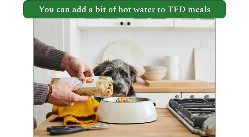 Example of how to feed your dog with The Farmer's Dog