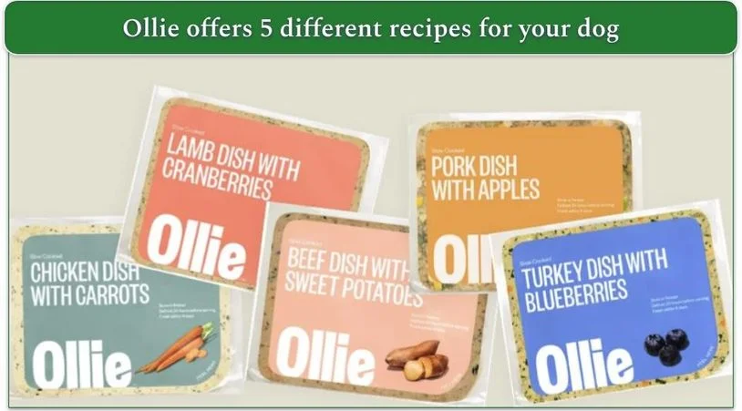 A screenshot of the 5 different recipes offered by Ollie
