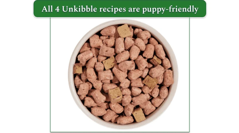 Unkibble recipes from Spot & Tango are free of fillers and vet developed