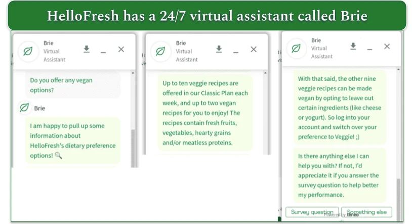 HelloFresh's virtual assistant