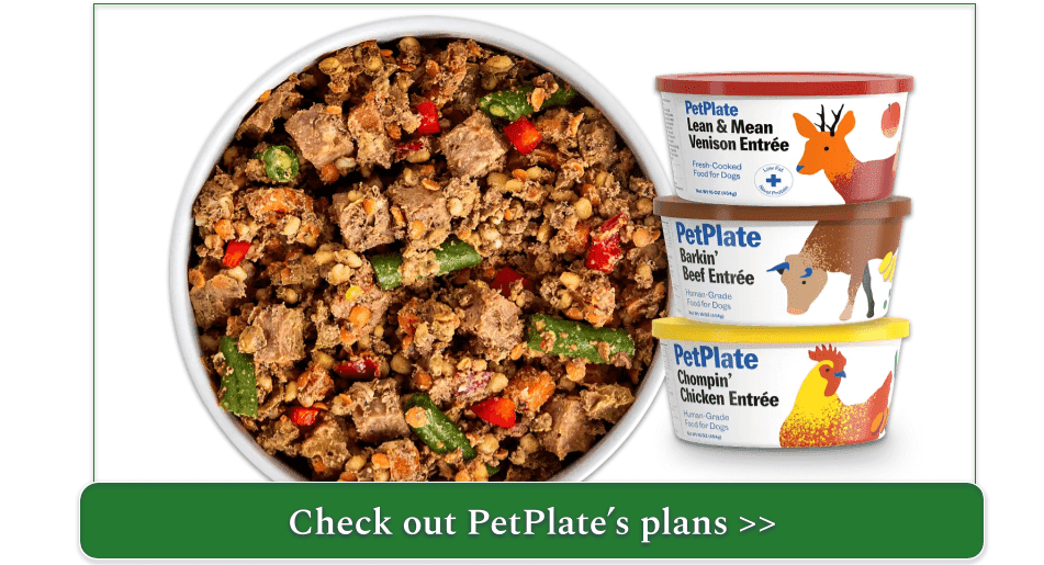 a fresh PetPlate meal in a bowl with a stack of three fresh containers to the right
