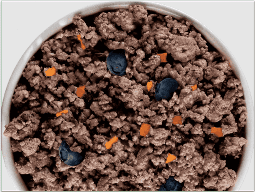 Raised Right's adult dog turkey recipe in a bowl