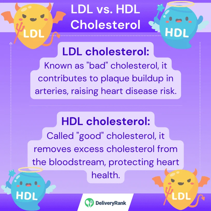 an infographic showing the difference between LDL and HDL cholesterol
