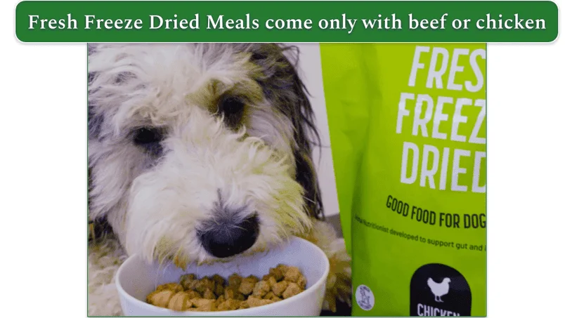 A dog eating Get Joy's Fresh Freeze Dried meal