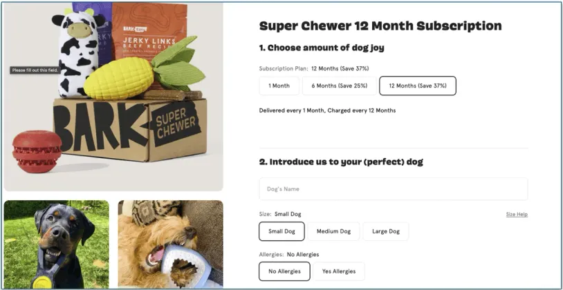 Screenshot of Bark Super Chewer's 12-Month Subscription Plan page