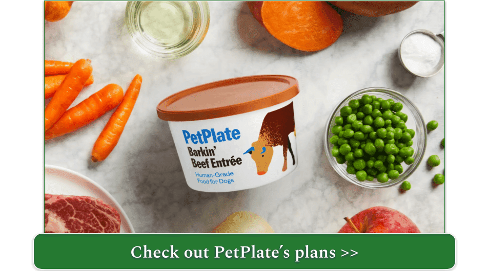 pet plate beef recipe container surrounded by fresh ingredients