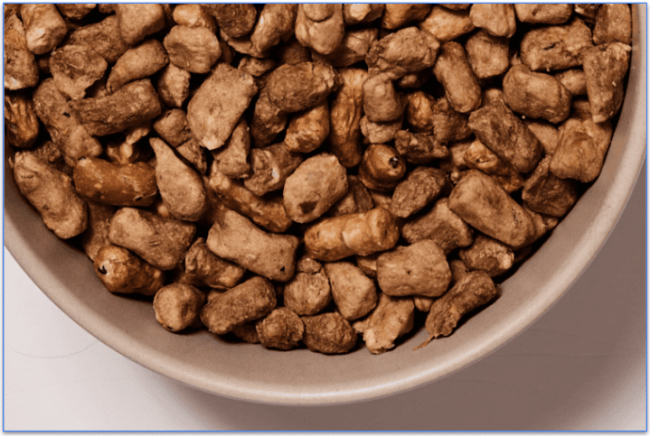 Close-up of Maxbone beef recipe dog food in a bowl