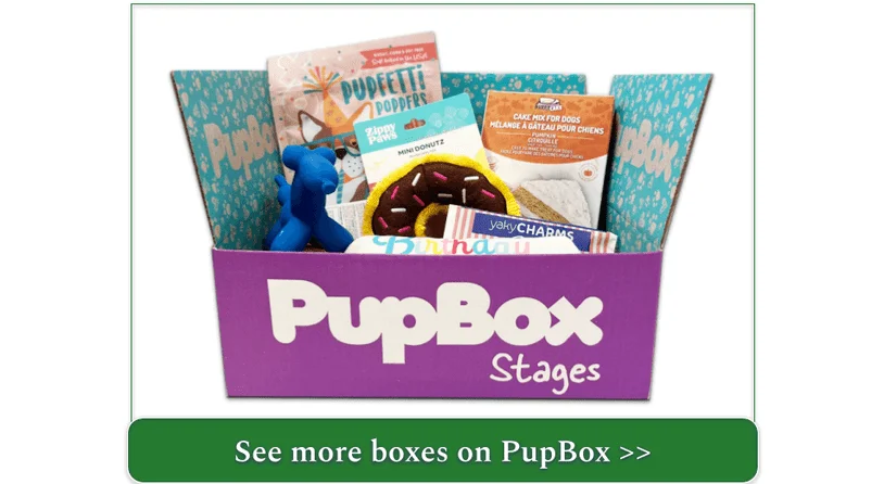 PupBox's dog subscription box