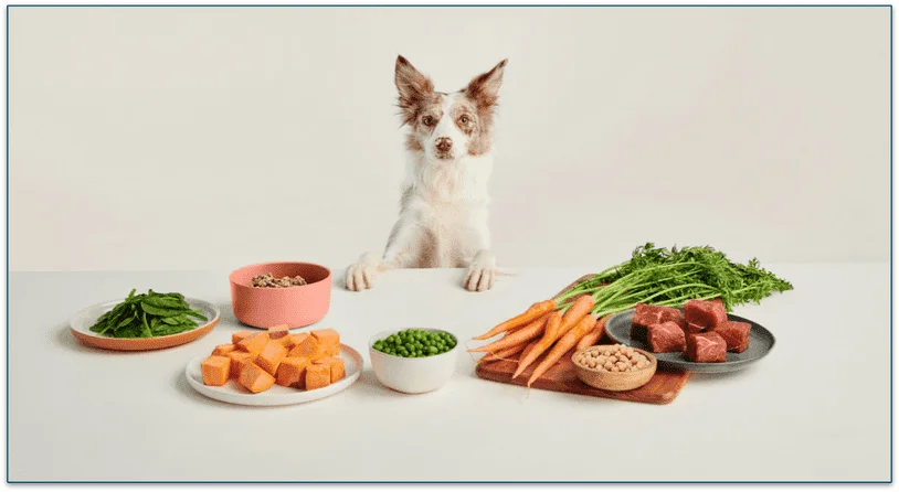  image of a dog surrounded by  a variety of vegetables in bowls