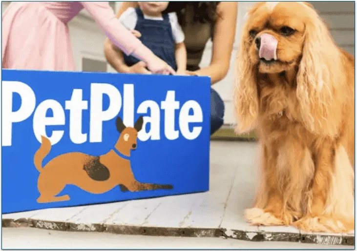 A PetPlate delivery box