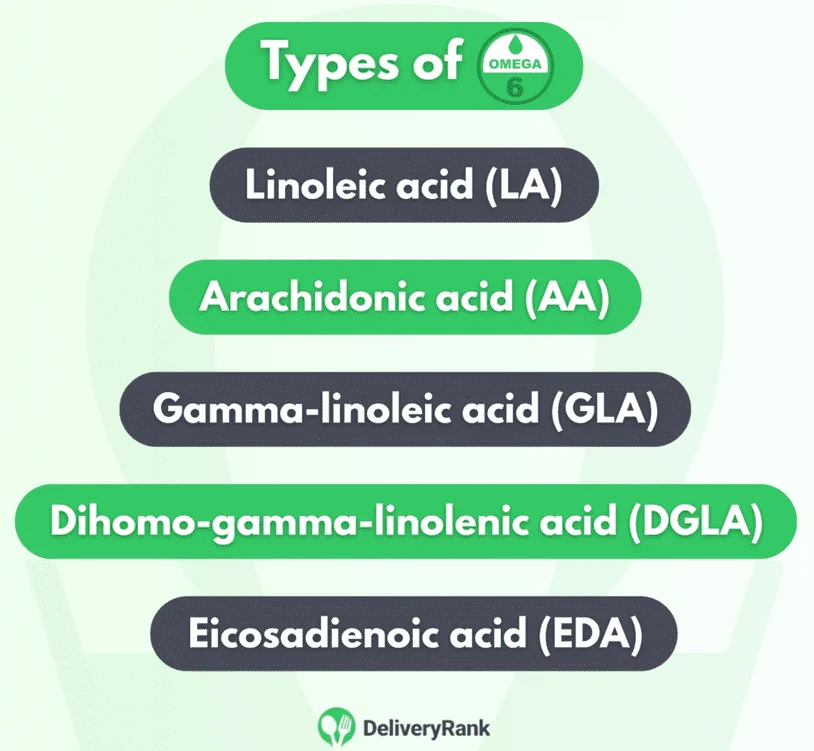 An infographic showing the various primary types of omega-6 fatty acids.