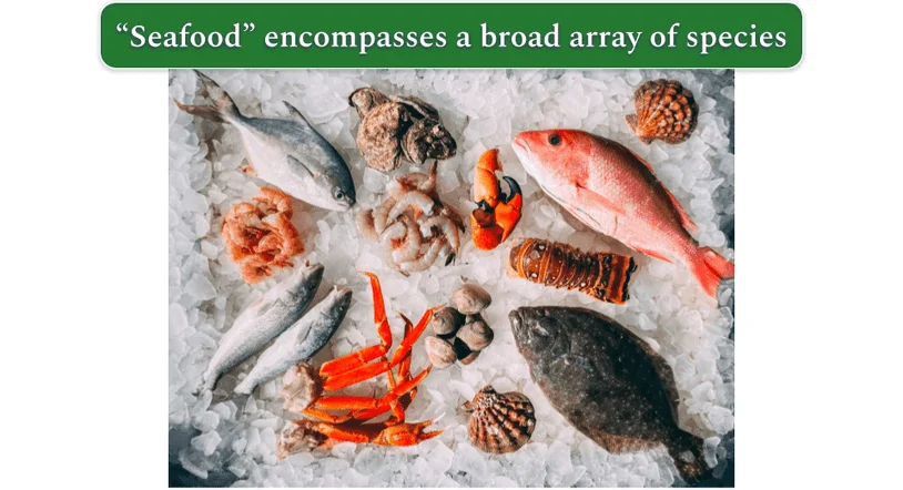 Several fish and shellfish on ice