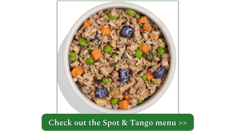Spot & Tango's Lamb + Brown Rice dish
