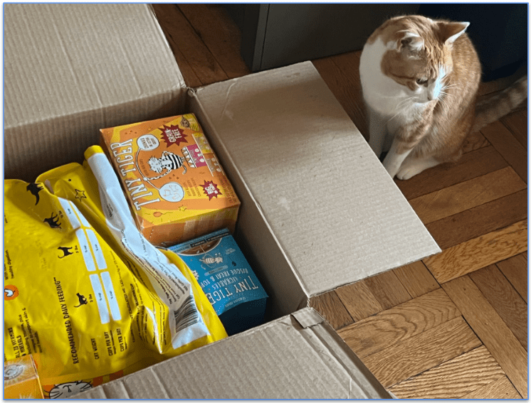 A ginger cat sits next to an open Chewy delivery