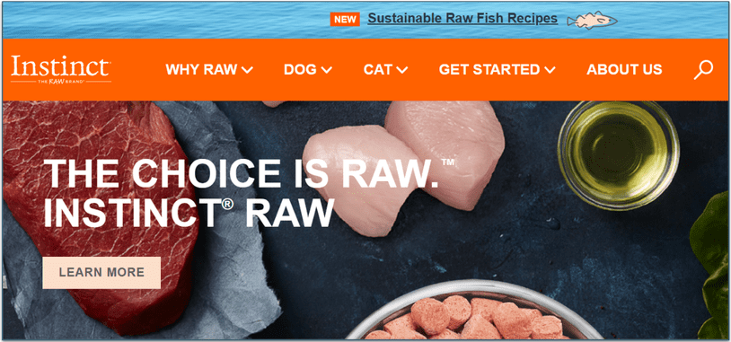 Instinct's home page