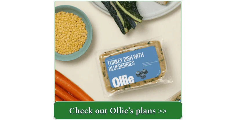 A package of Ollie's Turkey Dish with Blueberries alongside some of the ingredients used