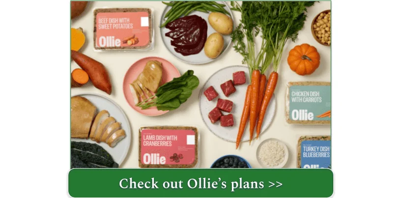 Packs of Ollie fresh food with ingredients
