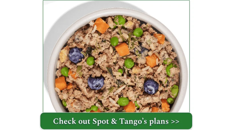 A fresh Spot & Tango meal with meat, rice, veg, and blueberries